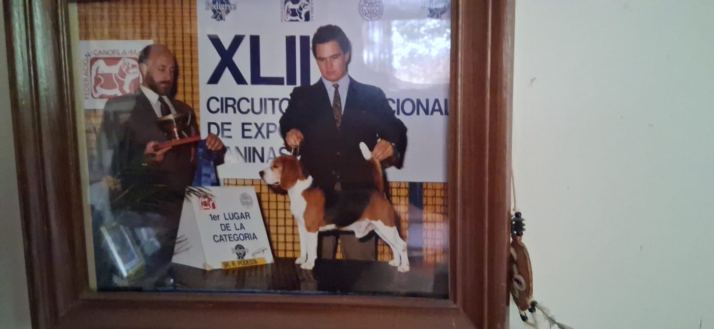 Framed photo from an international show circuit