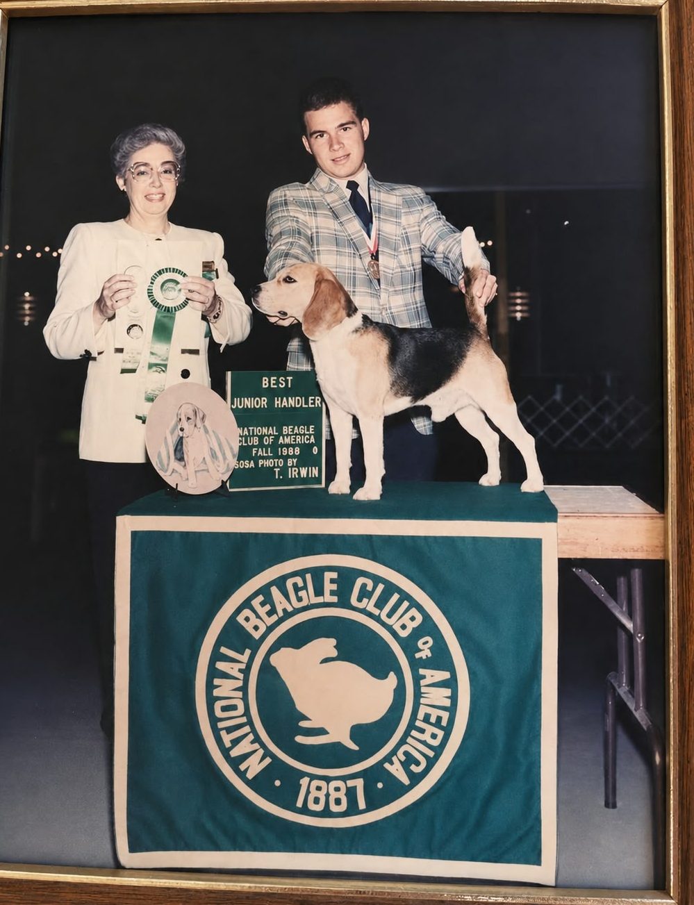A young handler with a Beagle at a National Beagle Club of America show