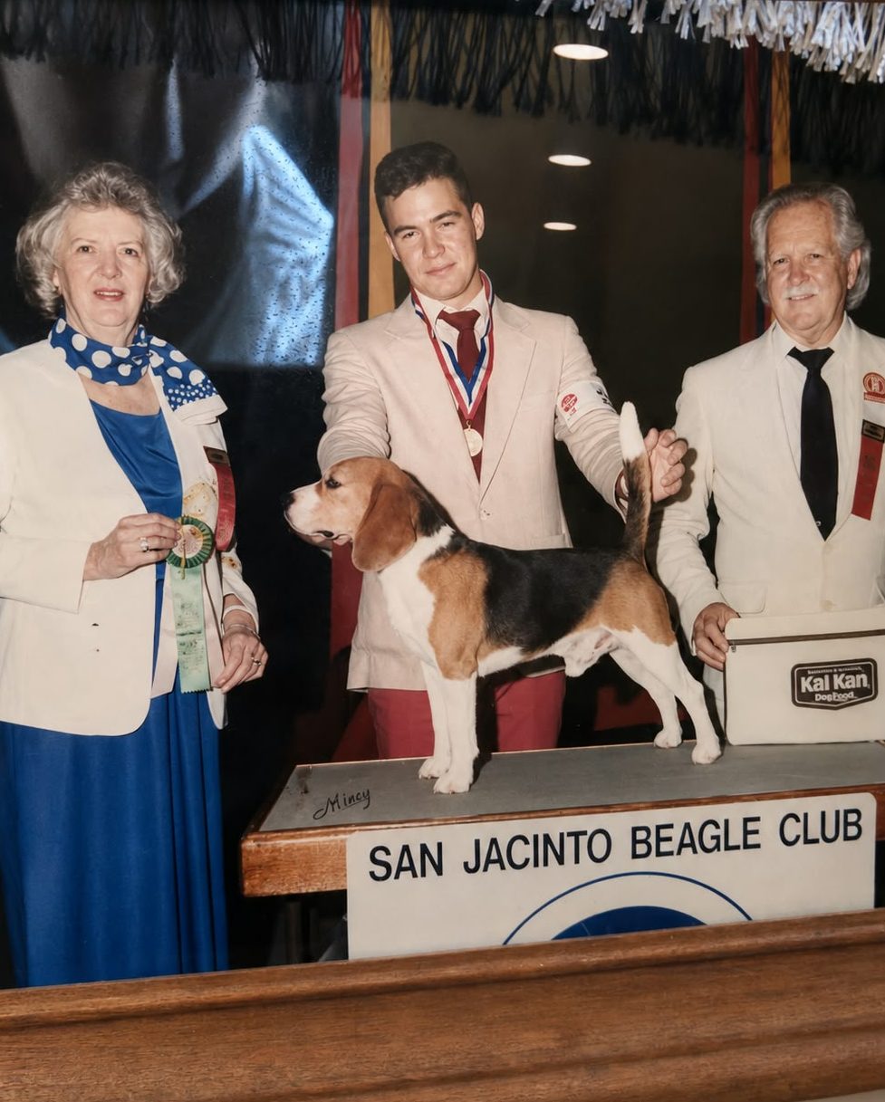 A young handler winning with an Alamo Beagle at a San Jacinto Beagle Club show